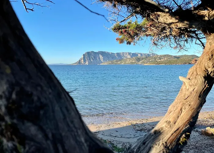 San Teodoro Punta Est Trilocale Vista Mare Appartement Cap Coda Cavallo