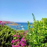 Lejlighed Punta Est - Trilo Elicriso Terrazza Vista Mare Capo Coda Cavallo