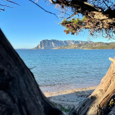 San Teodoro Punta Est Trilocale Vista Mare Apartment Capo Coda Cavallo