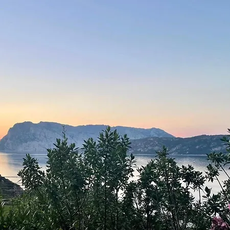 Punta Est - Trilo Elicriso Terrazza Vista Mare Capo Coda Cavallo