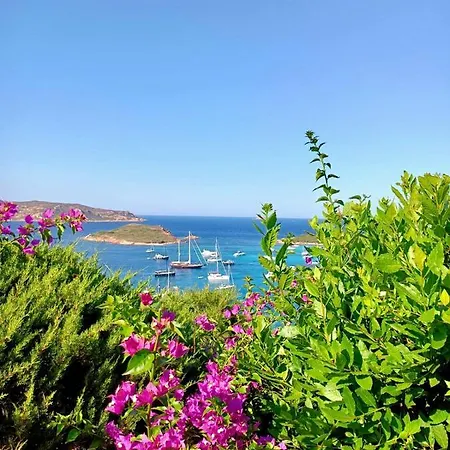 Apartament Punta Est - Trilo Elicriso Terrazza Vista Mare Capo Coda Cavallo