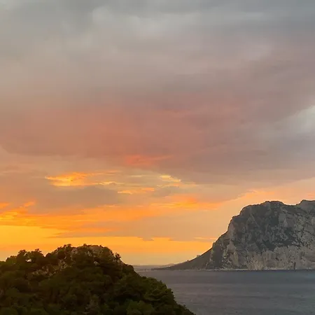 San Teodoro Punta Est Trilocale Vista Mare Apartment