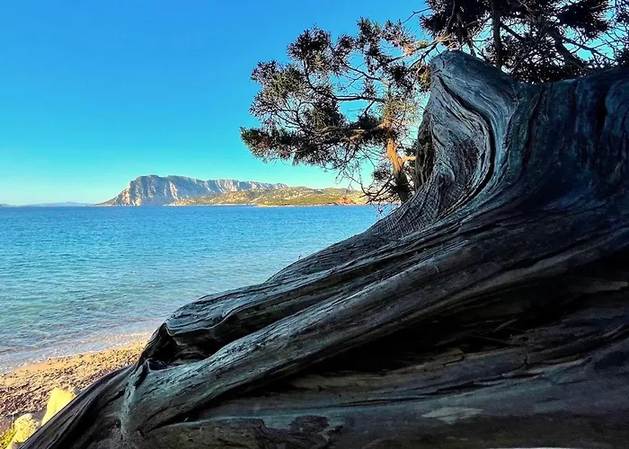 Apartman San Teodoro Punta Est Trilocale Vista Mare Capo Coda Cavallo